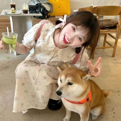 流浪汉与小灵精